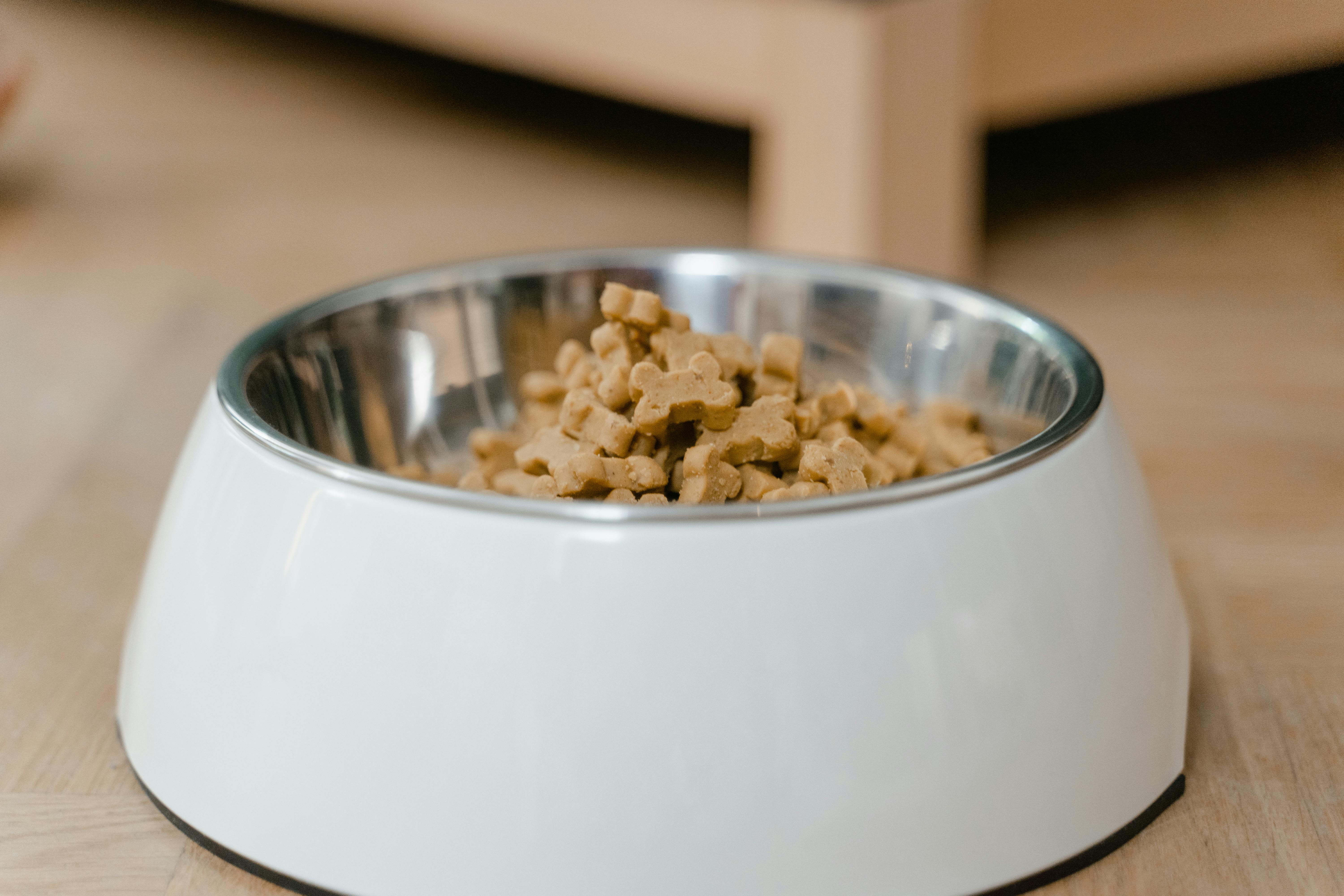 Dog Food